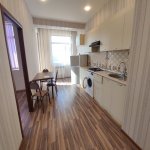 Kirayə (aylıq) 3 otaqlı Yeni Tikili, Memar Əcəmi metrosu, 5-ci mikrorayon, Nəsimi rayonu 19