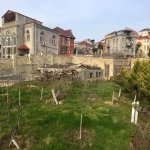 Продажа Участок, пос. Бадамдар, Сябаиль район 6