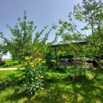 Kirayə (günlük) 2 otaqlı Həyət evi/villa Qəbələ 6