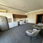 Kirayə (aylıq) 3 otaqlı Yeni Tikili, Nərimanov rayonu 5