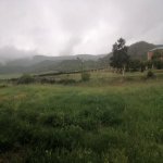 Satılır 3 otaqlı Həyət evi/villa İsmayıllı 2