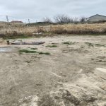 Satılır Torpaq, Fatmayi, Abşeron rayonu 1