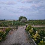 Продажа Участок Хачмаз 10