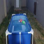 Kirayə (günlük) 3 otaqlı Həyət evi/villa Lənkəran 11