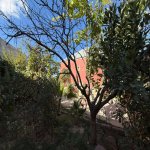 Satılır 3 otaqlı Həyət evi/villa, Ramana qəs., Sabunçu rayonu 3