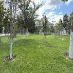 Satılır 5 otaqlı Həyət evi/villa, Novxanı, Abşeron rayonu 3