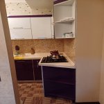 Kirayə (aylıq) 2 otaqlı Yeni Tikili, İnşaatçılar metrosu, Alatava, Baku Mall, Yasamal rayonu 4