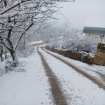 Kirayə (günlük) 3 otaqlı Həyət evi/villa Lerik 2