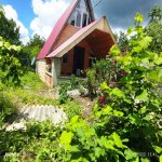 Kirayə (günlük) 3 otaqlı Həyət evi/villa İsmayıllı 7