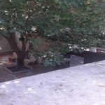 Satılır 4 otaqlı Həyət evi/villa, Avtovağzal metrosu, Biləcəri qəs., Binəqədi rayonu 1