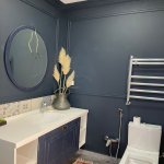Kirayə (günlük) 5 otaqlı Həyət evi/villa, Türkan, Xəzər rayonu 17