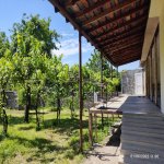 Kirayə (günlük) 2 otaqlı Bağ evi Qax 7