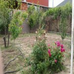 Satılır 2 otaqlı Həyət evi/villa Naxçıvan MR 3