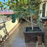 Satılır 4 otaqlı Həyət evi/villa, Əhmədli metrosu, kənd Əhmədli, Xətai rayonu 13