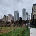 Kirayə (aylıq) 2 otaqlı Yeni Tikili, Gənclik metrosu, Nərimanov rayonu 18