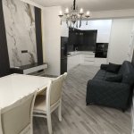 Kirayə (aylıq) 2 otaqlı Yeni Tikili, Nəriman Nərimanov metrosu, Heydər Əliyev Mərkəzi, Nərimanov rayonu 5