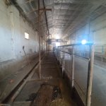 Kirayə (aylıq) Torpaq Xaçmaz 8