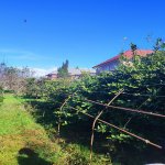 Продажа 4 комнатная Дома/Виллы Ленкорань 3