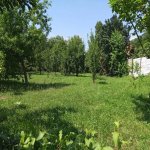 Kirayə (günlük) 3 otaqlı Bağ evi İsmayıllı 14