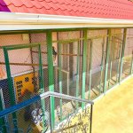 Kirayə (aylıq) 4 otaqlı Bağ evi, Azadlıq metrosu, Saray, Abşeron rayonu 6