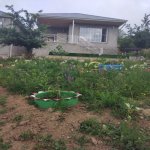 Kirayə (günlük) 3 otaqlı Bağ evi Quba 1