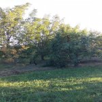 Satılır Torpaq Xaçmaz 7