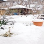 Kirayə (günlük) 4 otaqlı Həyət evi/villa Qusar 27