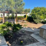 Kirayə (aylıq) 5 otaqlı Bağ evi, Mərdəkan, Xəzər rayonu 5