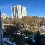 Аренда 3 комнатная Вторичка, Hyatt Редженс, Ясамал район 13