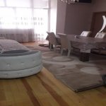 Kirayə (aylıq) 3 otaqlı Yeni Tikili Xırdalan 5