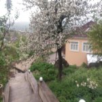 Kirayə (günlük) 4 otaqlı Həyət evi/villa Quba 2