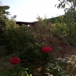Satılır 5 otaqlı Həyət evi/villa, Sabunçu rayonu 12