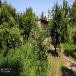 Satılır 7 otaqlı Bağ evi, Goradil, Abşeron rayonu 25