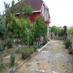 Kirayə (günlük) 3 otaqlı Həyət evi/villa Xaçmaz / Nabran 3