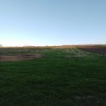 Satılır Torpaq Quba 4