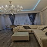 Kirayə (aylıq) 3 otaqlı Yeni Tikili, 28 May metrosu, Nərimanov rayonu 11