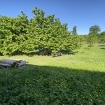 Kirayə (günlük) 3 otaqlı Həyət evi/villa Quba 18