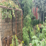 Satılır 4 otaqlı Həyət evi/villa, Qaraçuxur qəs., Suraxanı rayonu 8