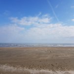 Satılır Torpaq, Zirə, Aviasiya Akademiyası Universiteti, Xəzər rayonu 2