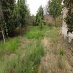 Satılır Torpaq, Saray, Abşeron rayonu 4