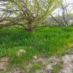 Satılır Torpaq, Digah, Abşeron rayonu 1