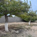 Satılır Torpaq, Xəzər rayonu 2