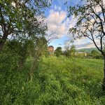 Satılır Torpaq İsmayıllı 5