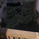 Satılır 6 otaqlı Həyət evi/villa, Qaraçuxur qəs., Suraxanı rayonu 9