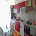 Kirayə (günlük) 3 otaqlı Köhnə Tikili, 28 May metrosu, Səməd Vurğun parkı, Nəsimi rayonu 15