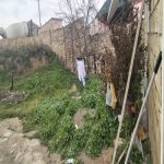 Продажа 3 комнат Дома/Виллы, Хокмяли, Абшерон район 16