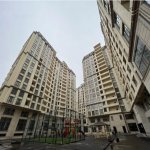 Kirayə (aylıq) 2 otaqlı Yeni Tikili, Nəriman Nərimanov metrosu, Heydər Əliyev Mərkəzi, Nərimanov rayonu 1