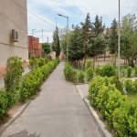 Kirayə (aylıq) 1 otaqlı Köhnə Tikili, Suraxanı qəs., Suraxanı rayonu 1