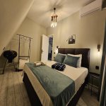 Kirayə (günlük) 3 otaqlı Həyət evi/villa Qəbələ 6