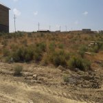 Satılır Torpaq, Masazır, Abşeron rayonu 8